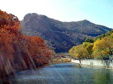 管家婆黑白马报图库，岳阳seo程序